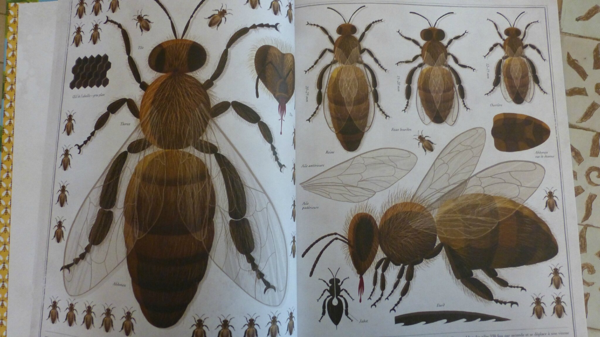 Bienen von Piotr Socha – Bild 2